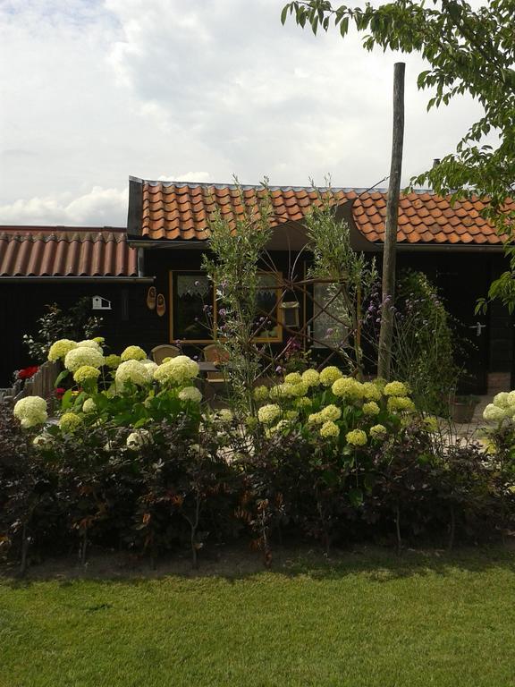 Bed And Breakfast Rodenberg Driebergen Εξωτερικό φωτογραφία